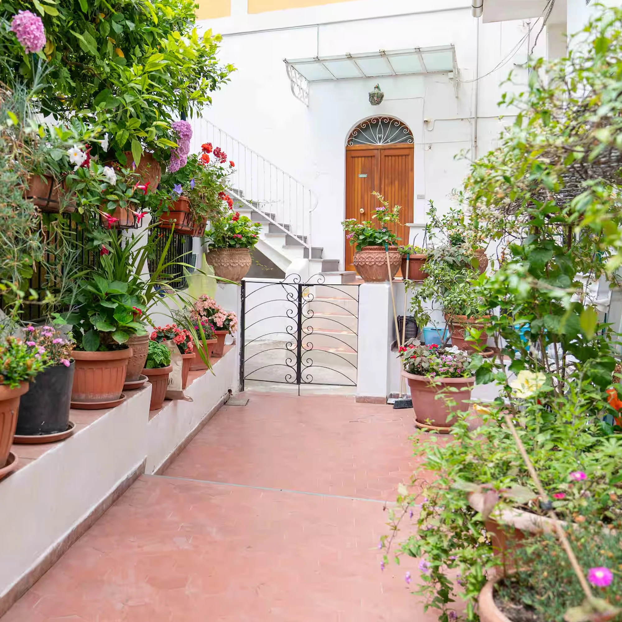 viale ingresso il gatto franco amalfi.webp