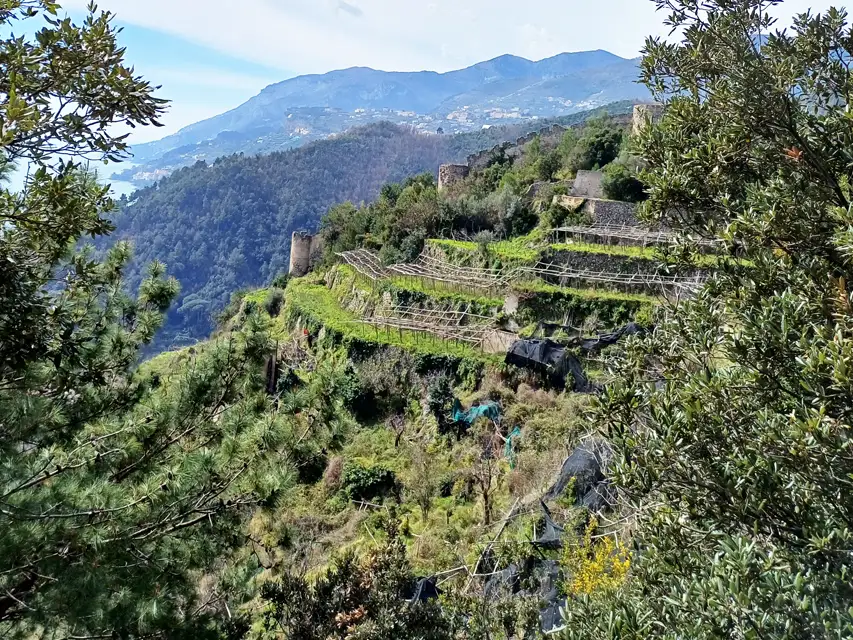 sentiero-alto-dei-limoni-costa-natura-trekking